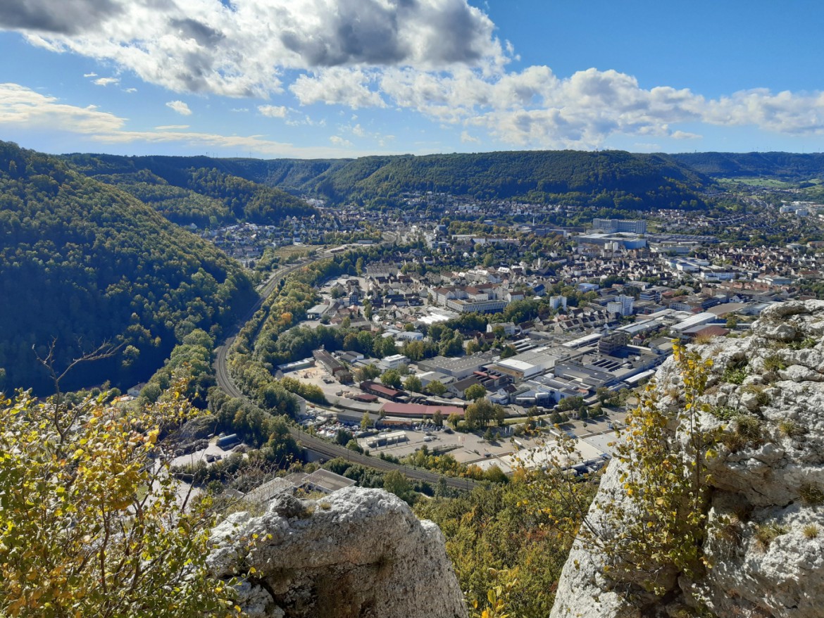 20201004_121324.jpg